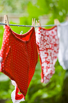 still life collection